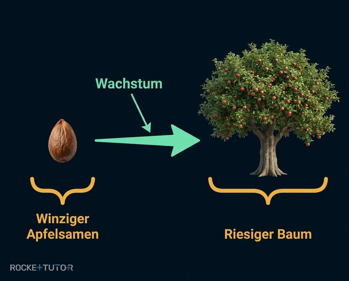 Baumwachstum aus Samen