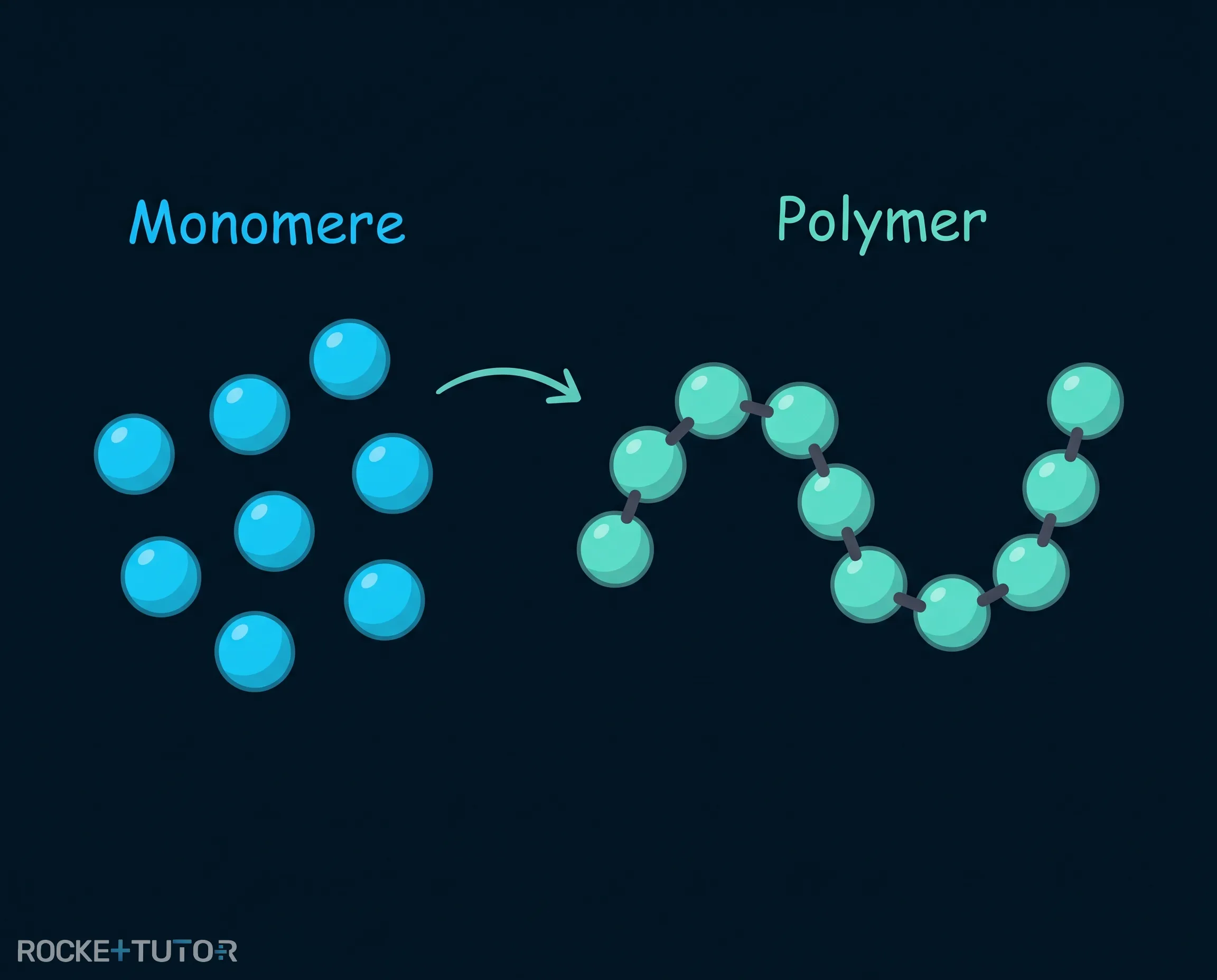 Monomere verbinden sich zu einem Polymer