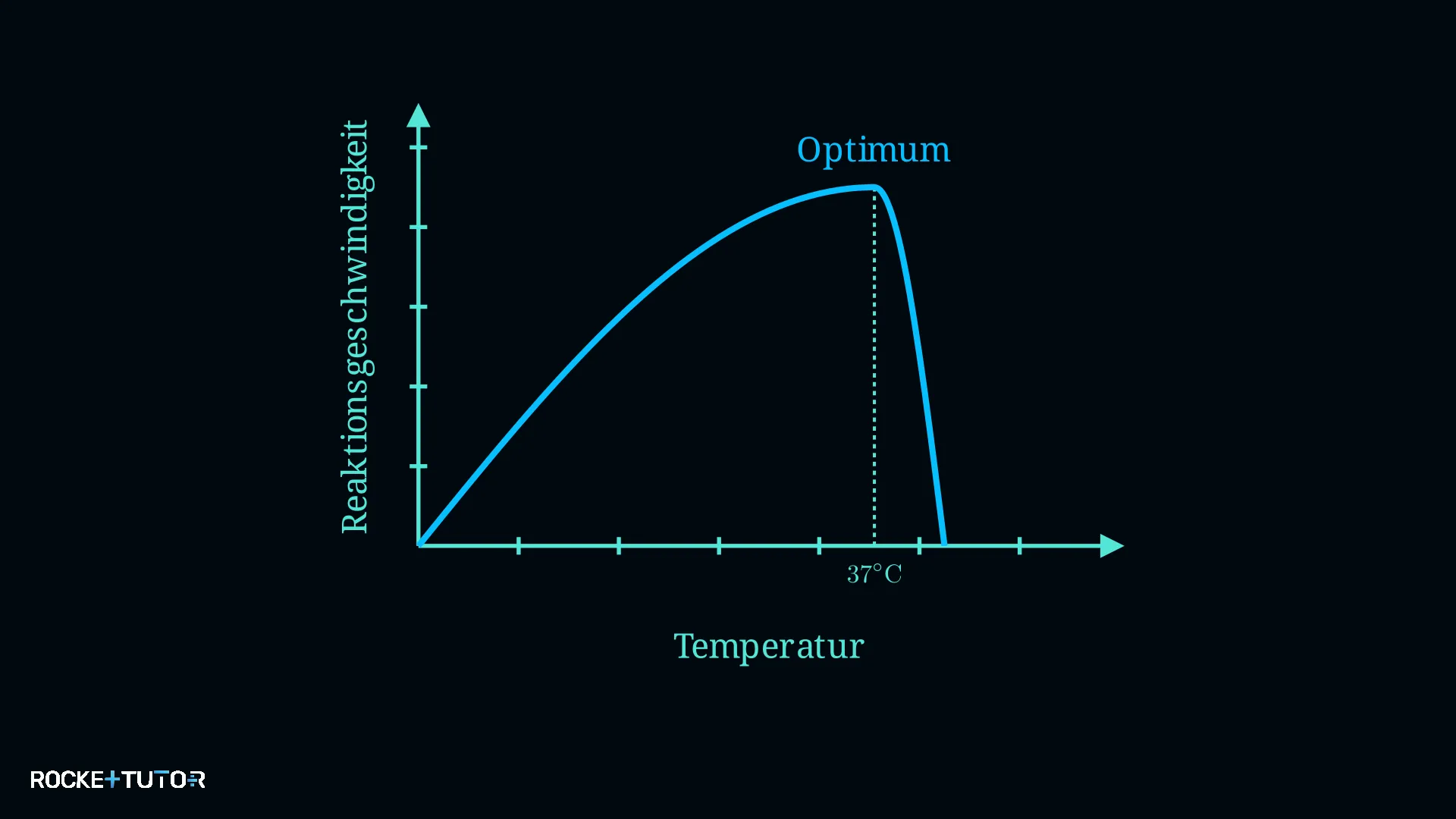 Temperaturkurve eines Enzyms