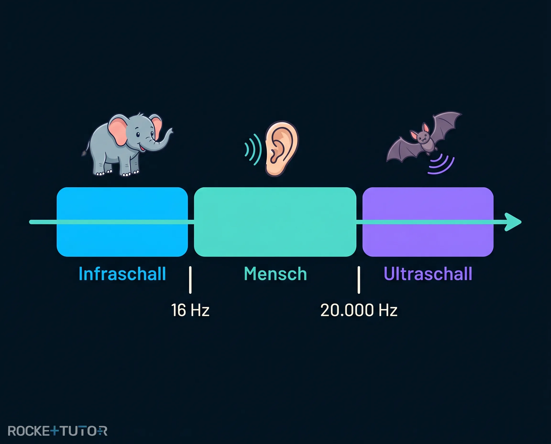 Tiere und ihre verschiedenen Hörbereiche