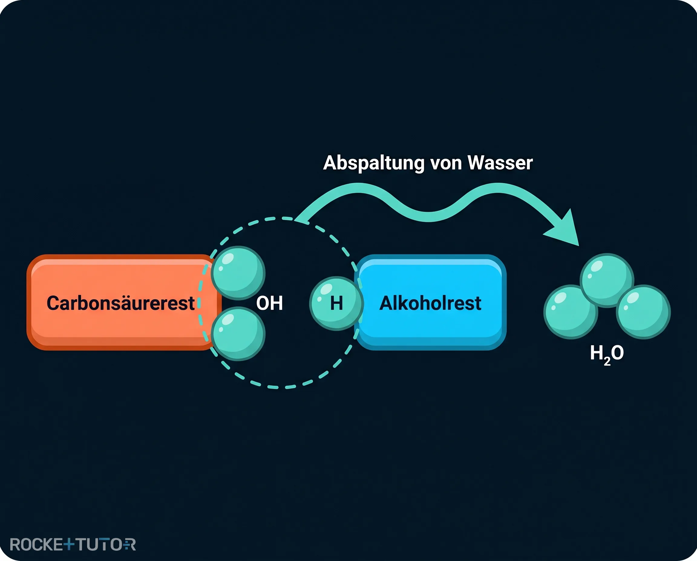 Abspaltung von Wasser bei der Veresterung