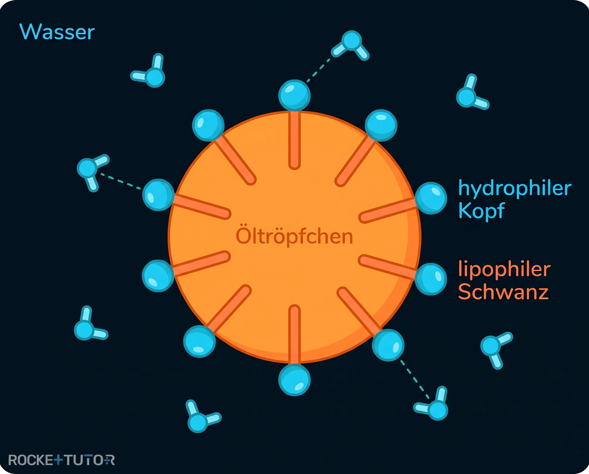 Öl-in-Wasser-Emulsion mit Mizellen