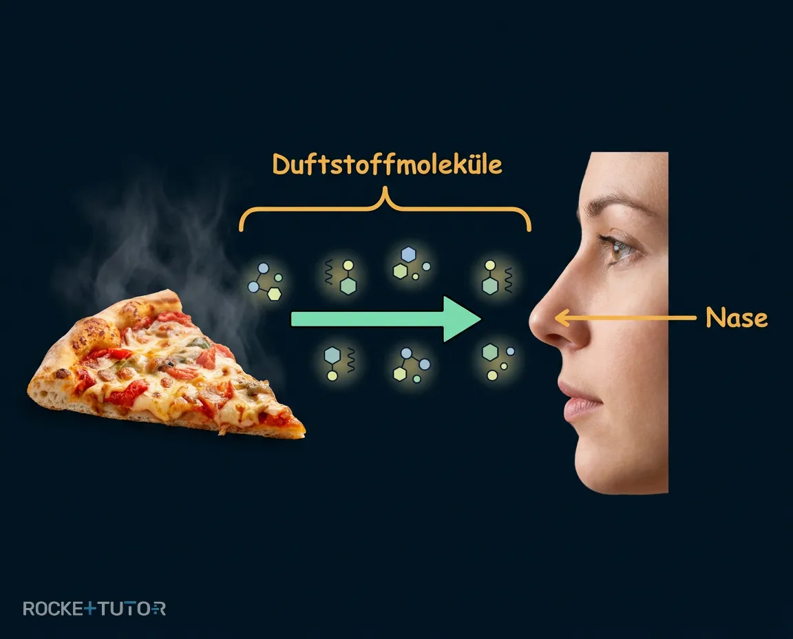 Pizza Geruch wahrnehmen