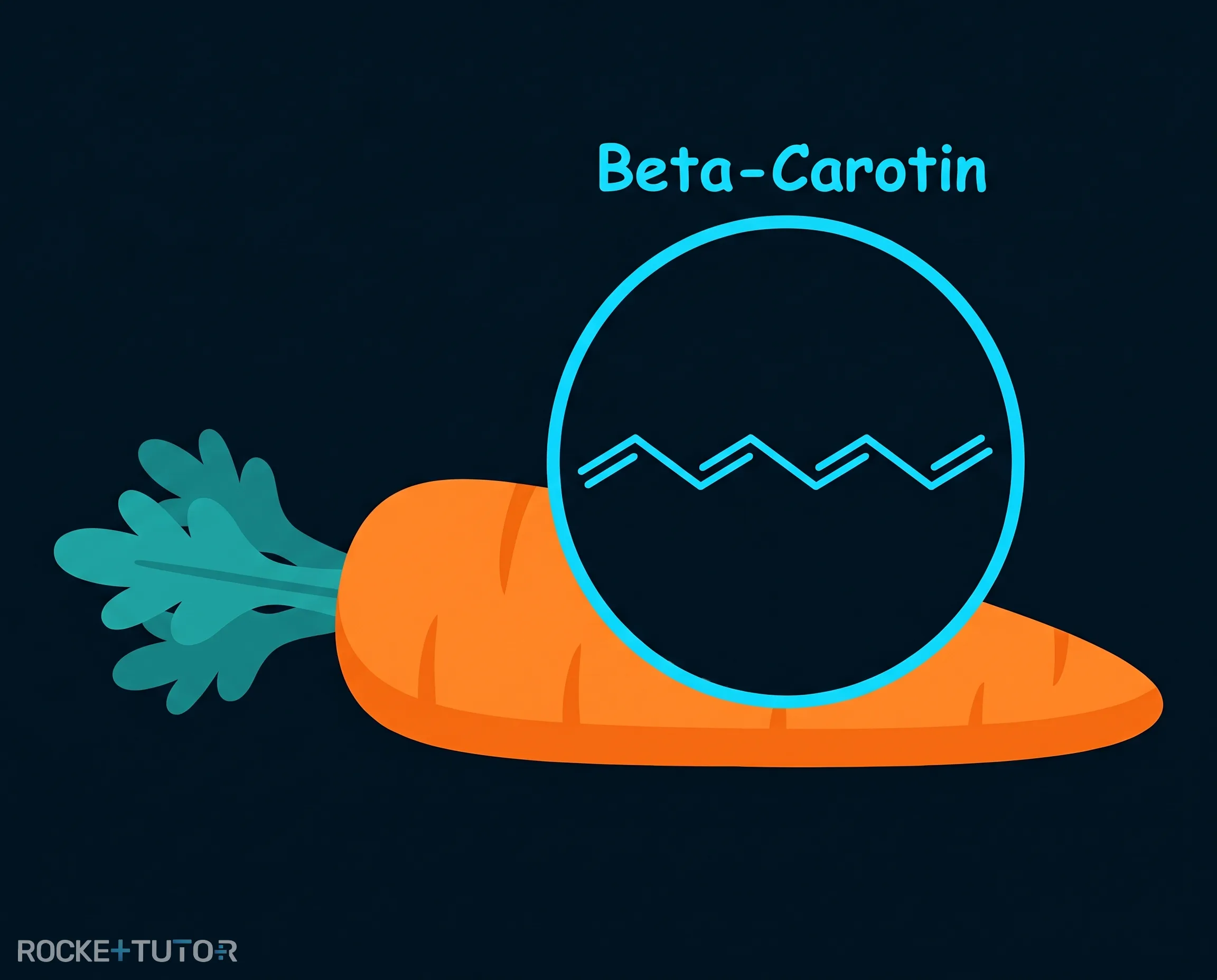 Strukturformel von Beta-Carotin