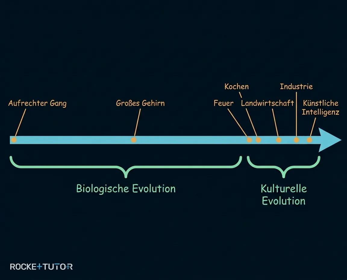 Biologische vs kulturelle Evolution