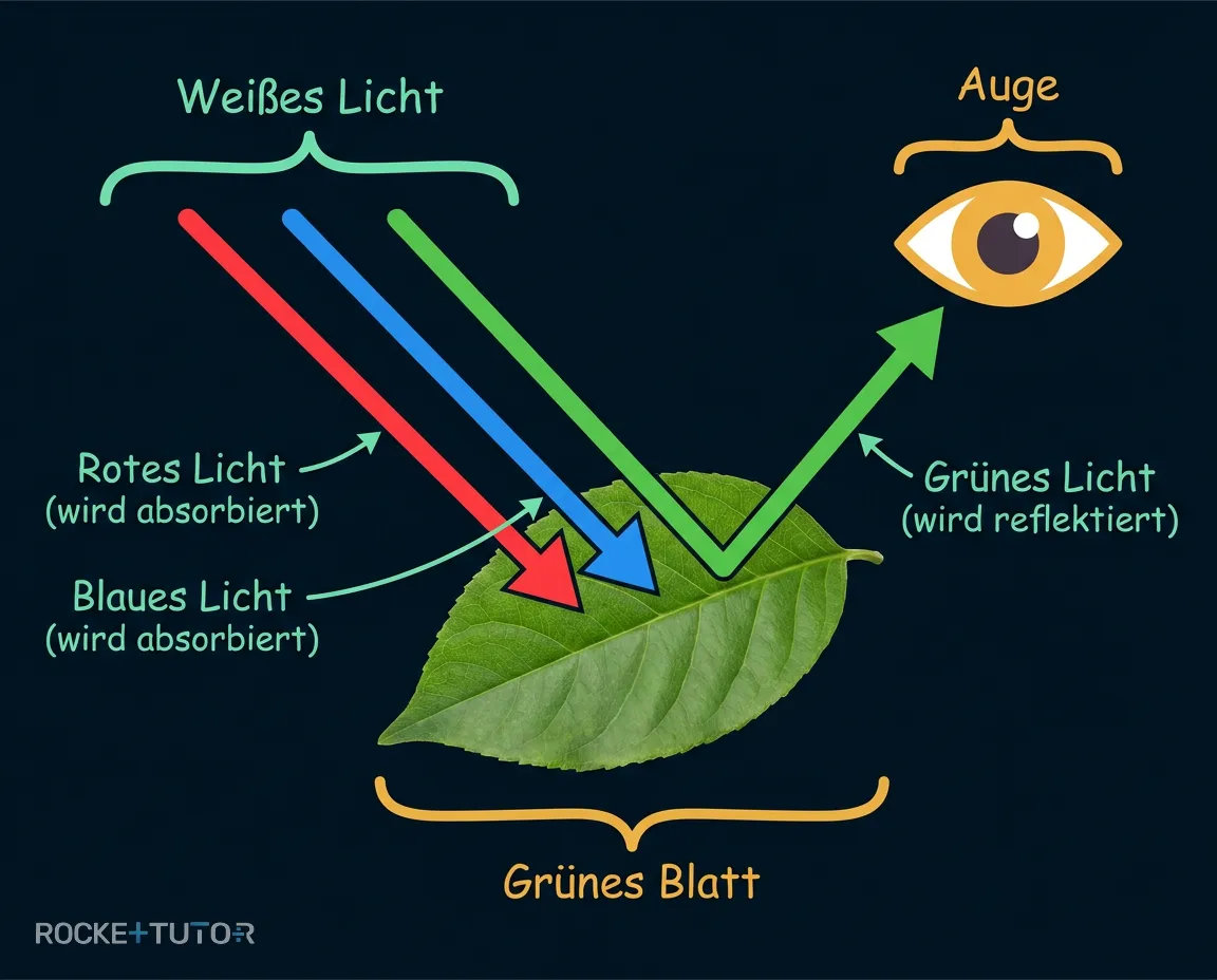 Reflexion von grünem Licht