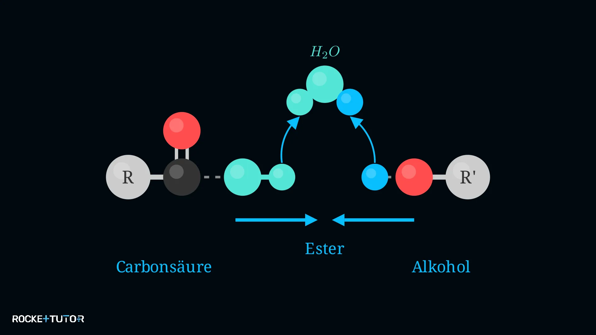 Reaktionsmechanismus der Veresterung
