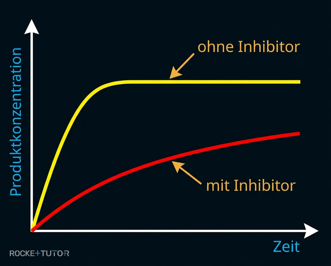 Zeit-Verlauf der Enzymreaktion