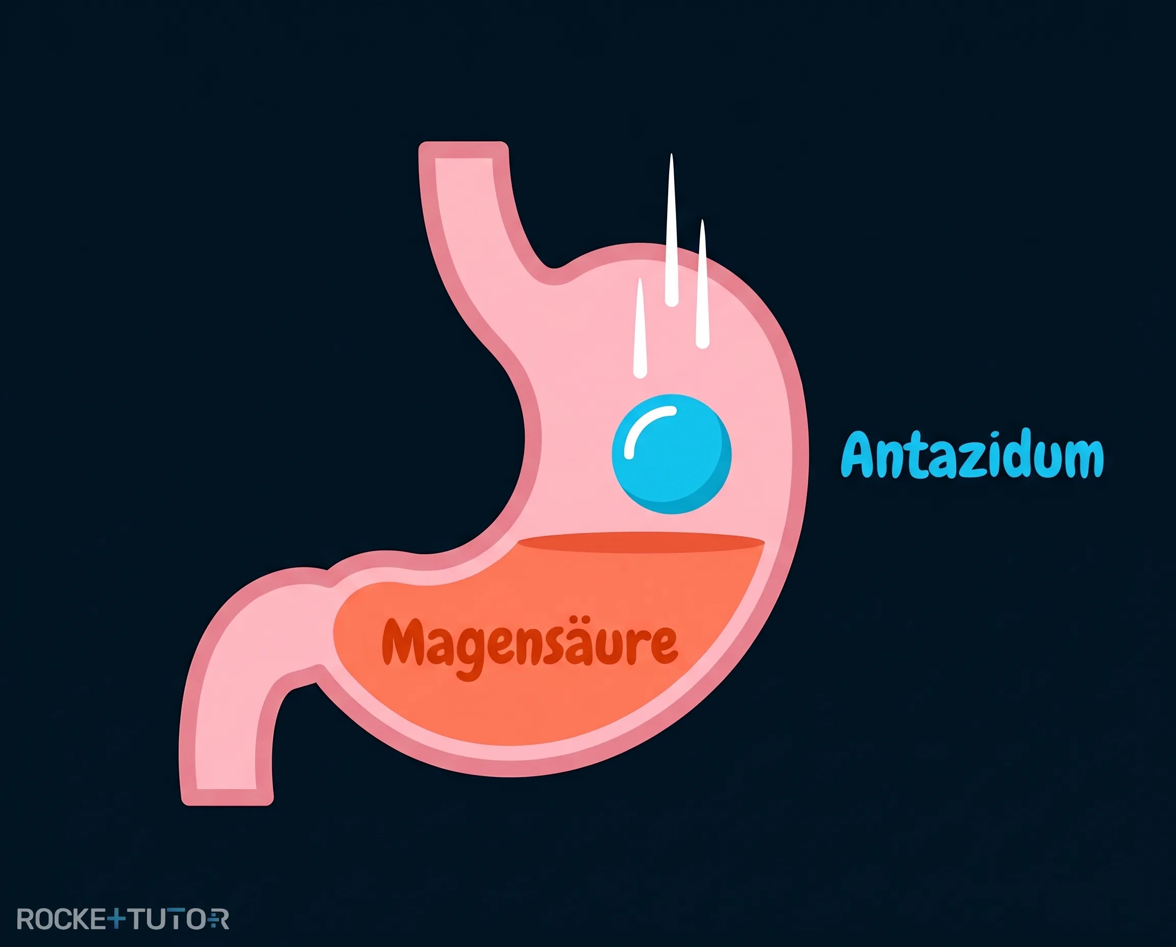 Magen und Antazida