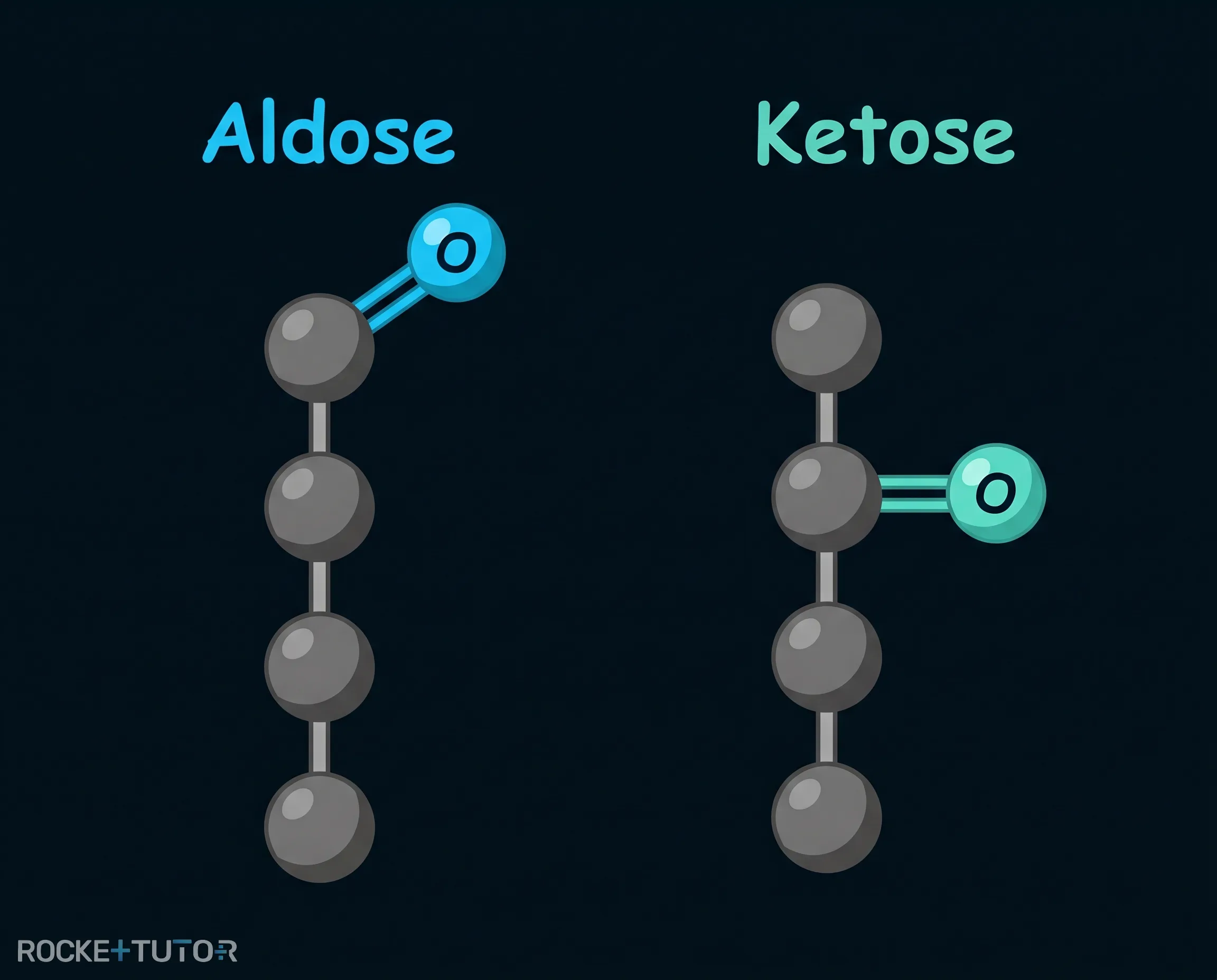Unterschied zwischen Aldose und Ketose