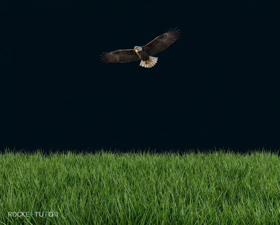Adler über einer Wiese mit Beutetieren