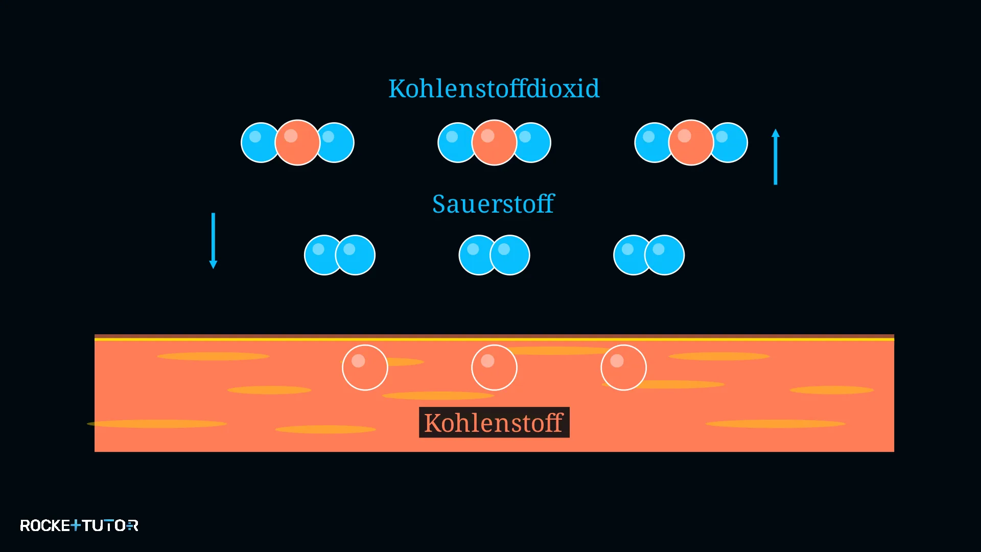 Kohlenstoff verbrennt zu Kohlenstoffdioxid