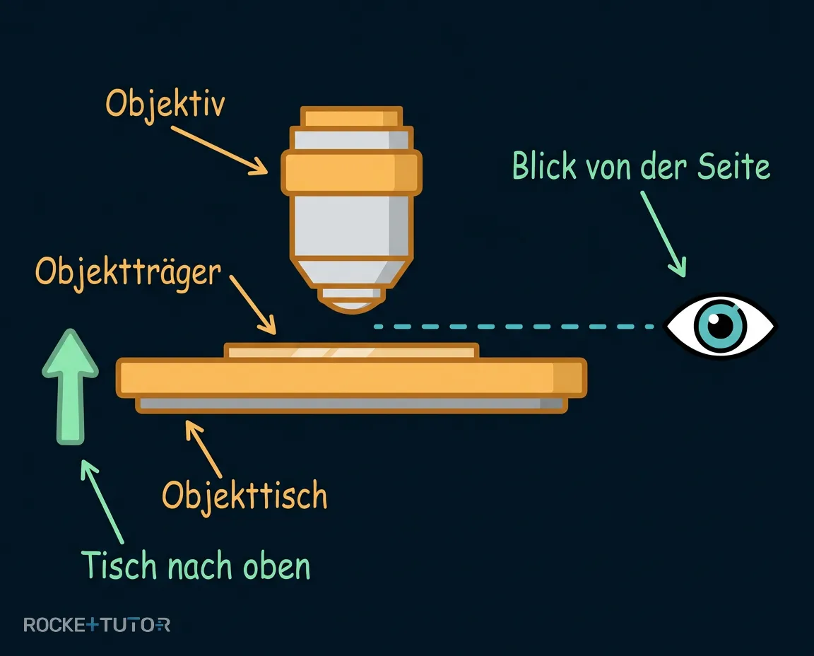 Sicheres Einstellen des Objekttisches