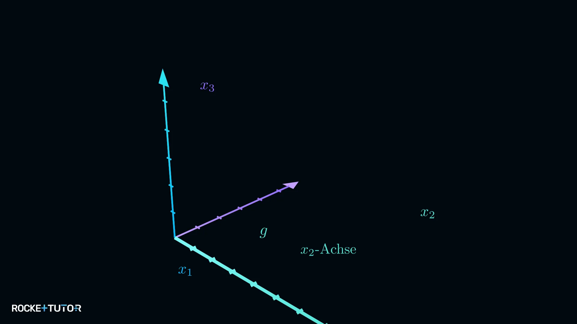 Gerade identisch mit der x2-Achse im Koordinatensystem