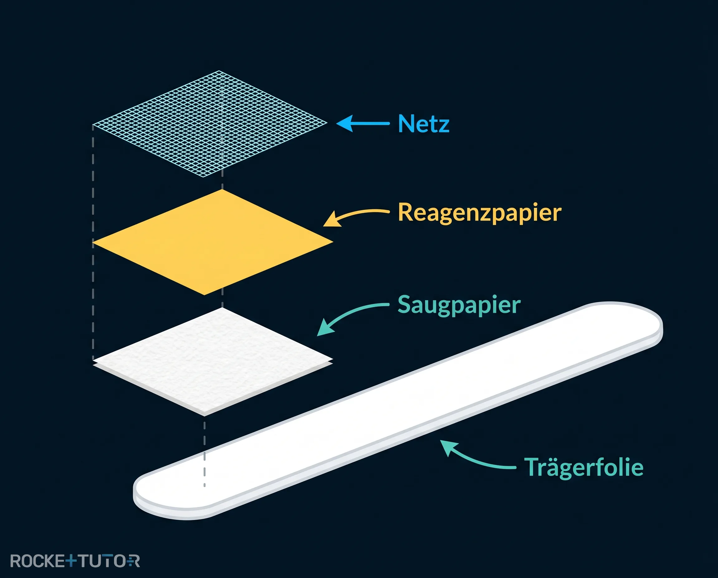 Aufbau eines kolorimetrischen Teststreifens