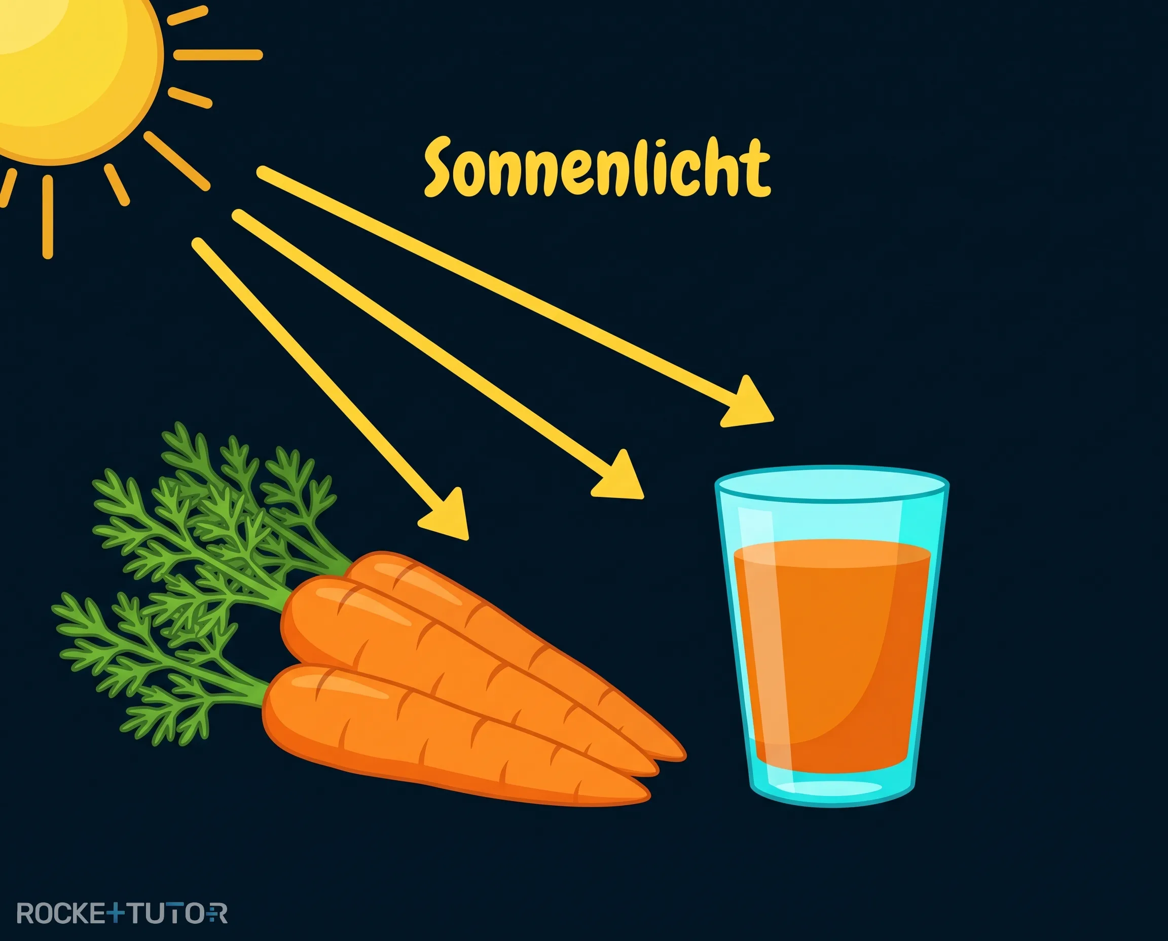 Karotte absorbiert Licht
