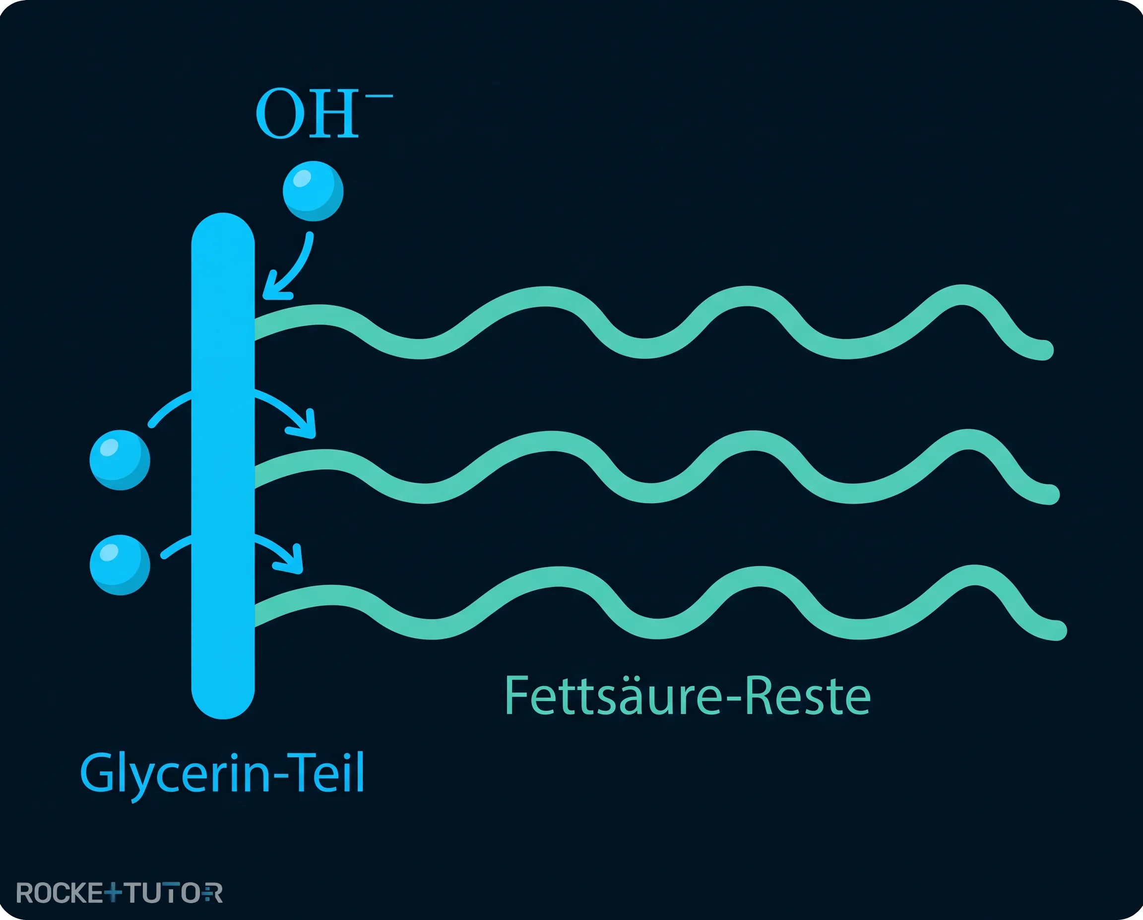 Reaktionsgleichung der alkalischen Hydrolyse