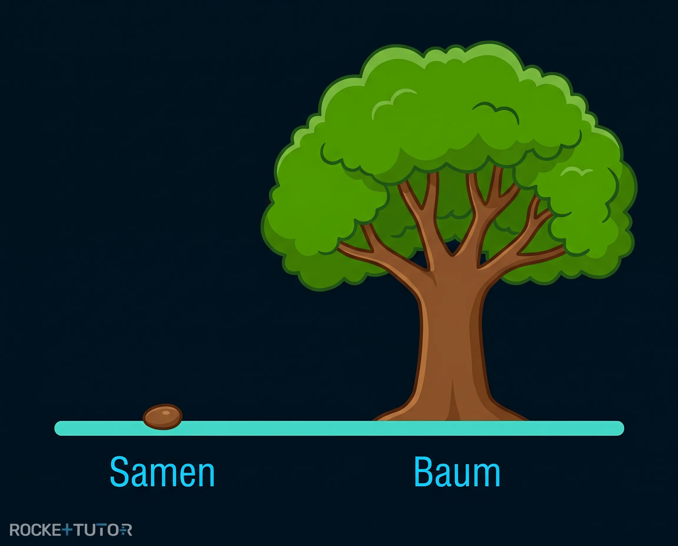 Baum wächst aus Samen