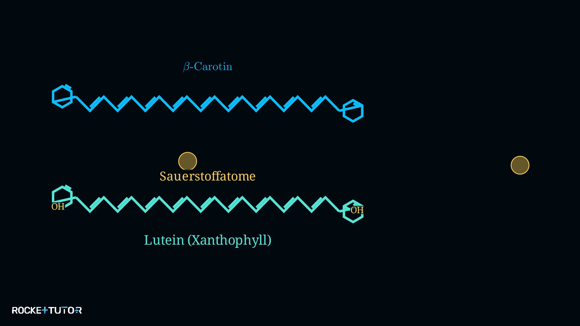 Chemische Struktur von Carotinoiden