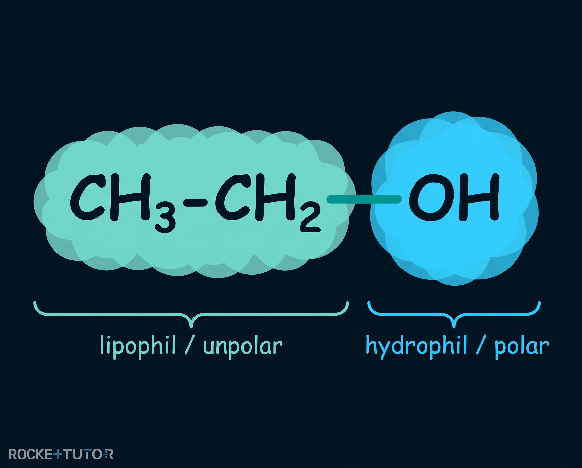 Amphiphiles Ethanol Molekül