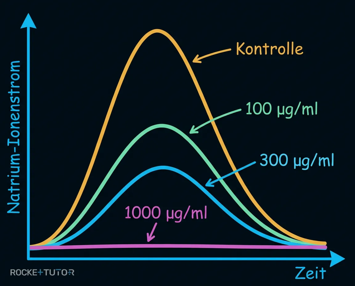 Diagramm Natrium-Ionenstrom mit Lidocain