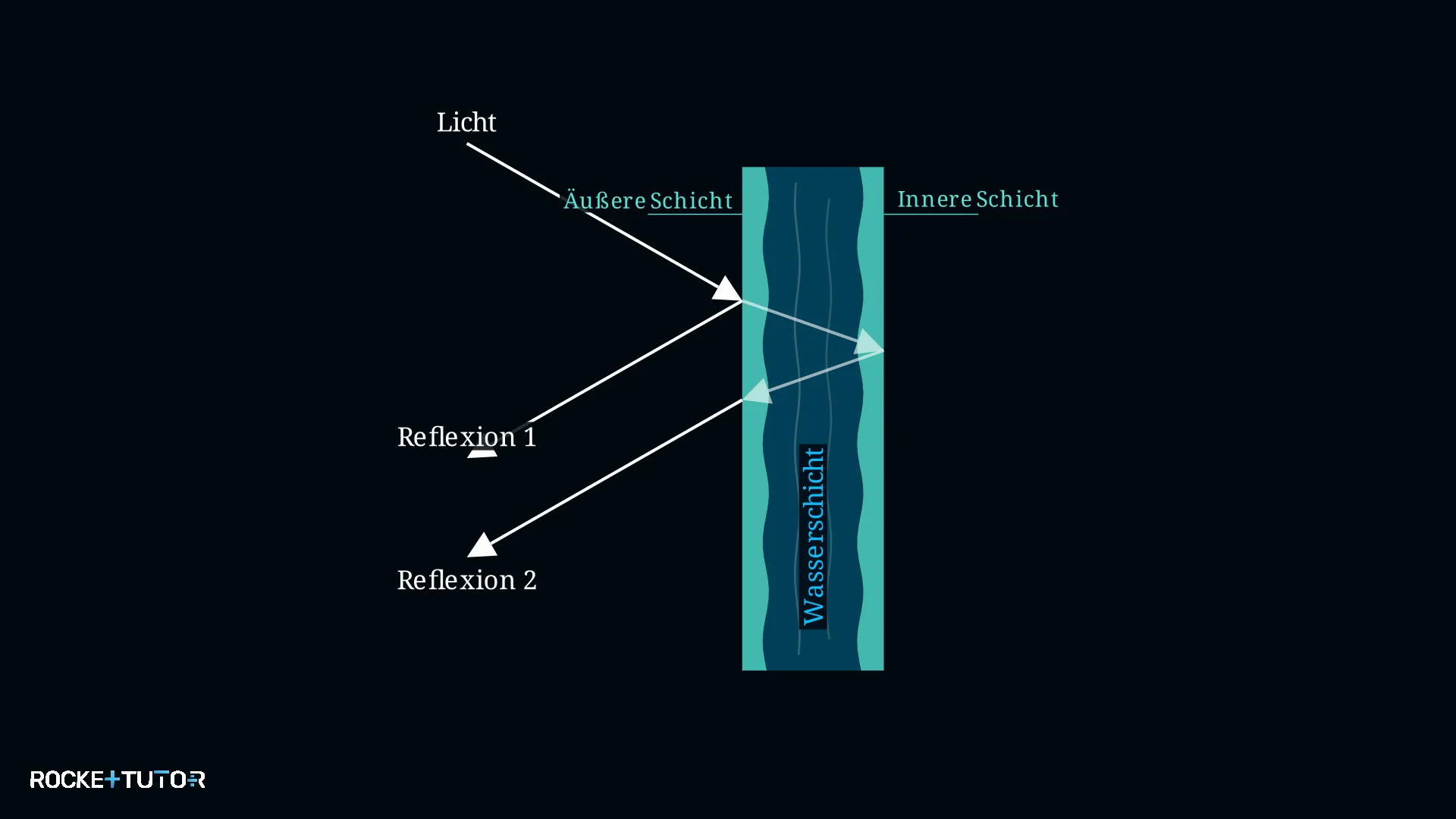 Lichtreflexion und Interferenz an der Membran