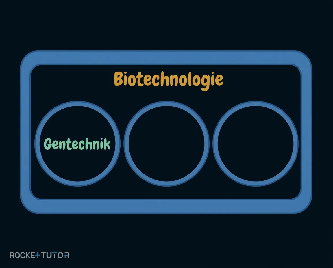 Entstehung eines GVO im Labor