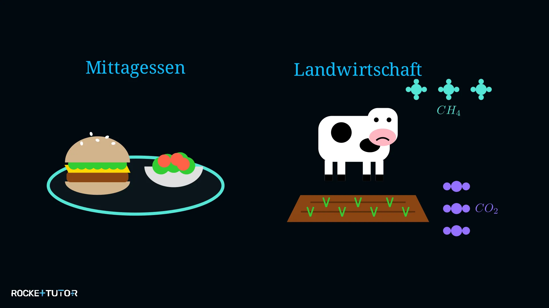 Kuh auf einer Weide