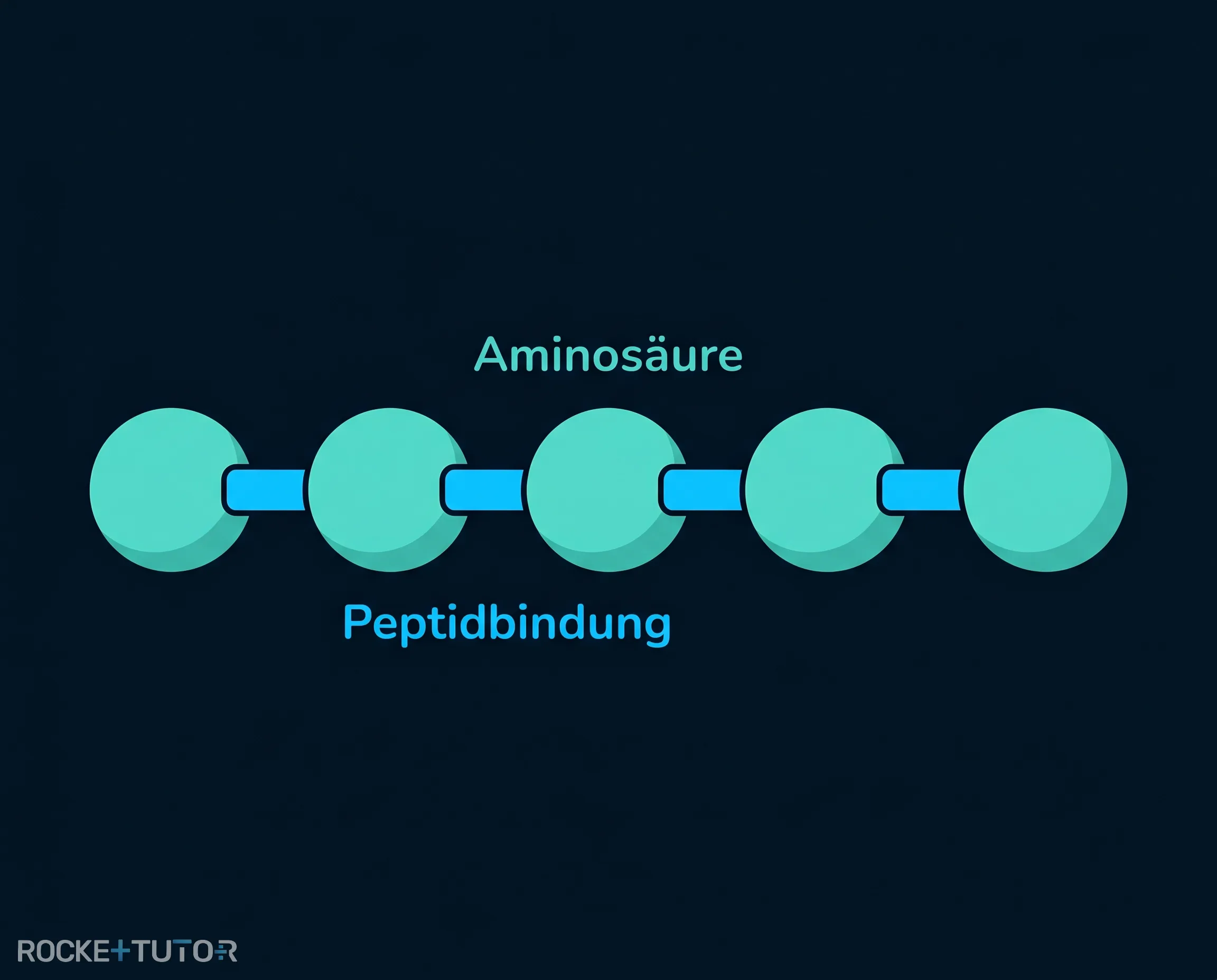 Biuretreaktion Schema
