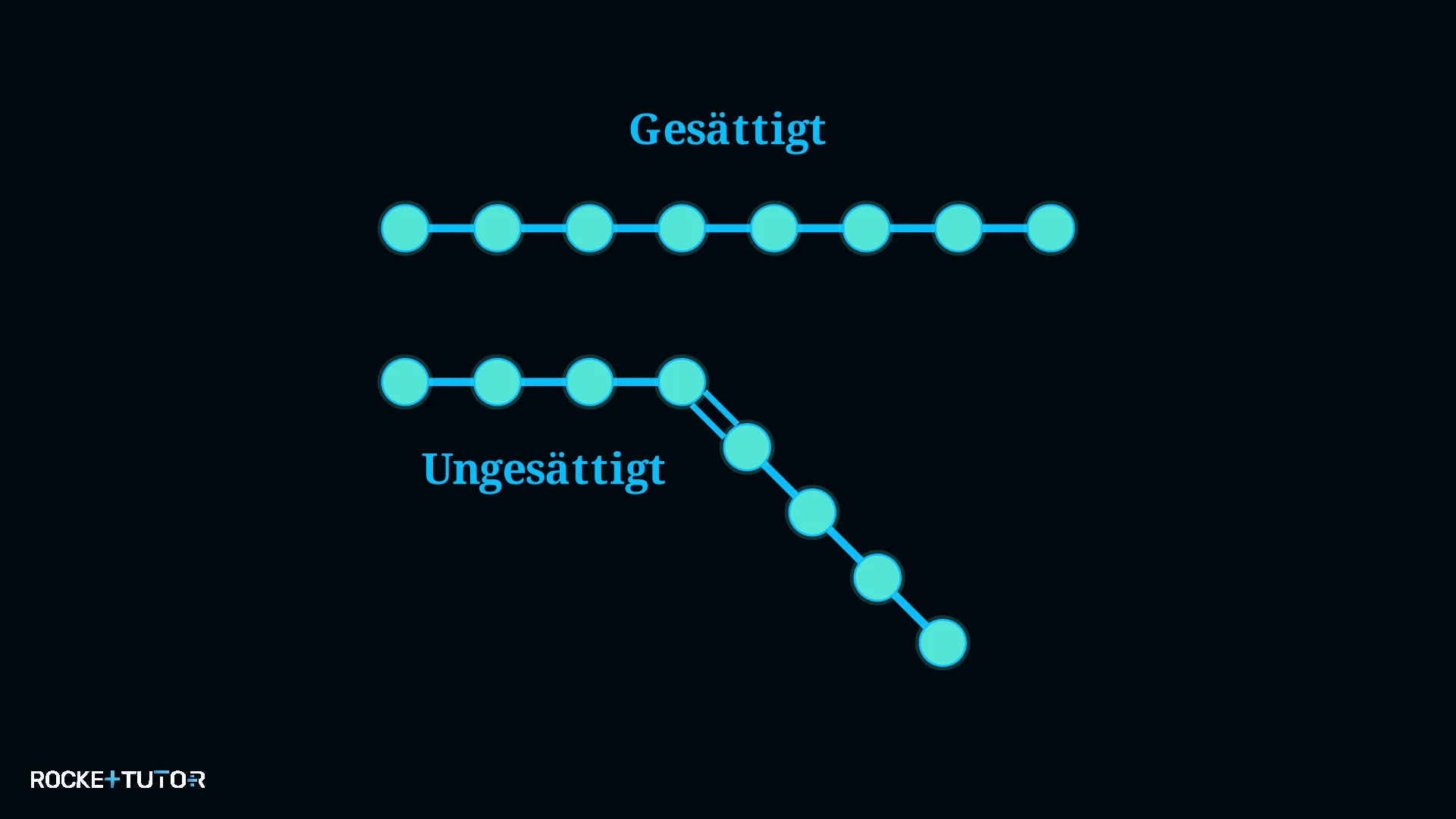 Struktur gesättigte und ungesättigte Fettsäuren