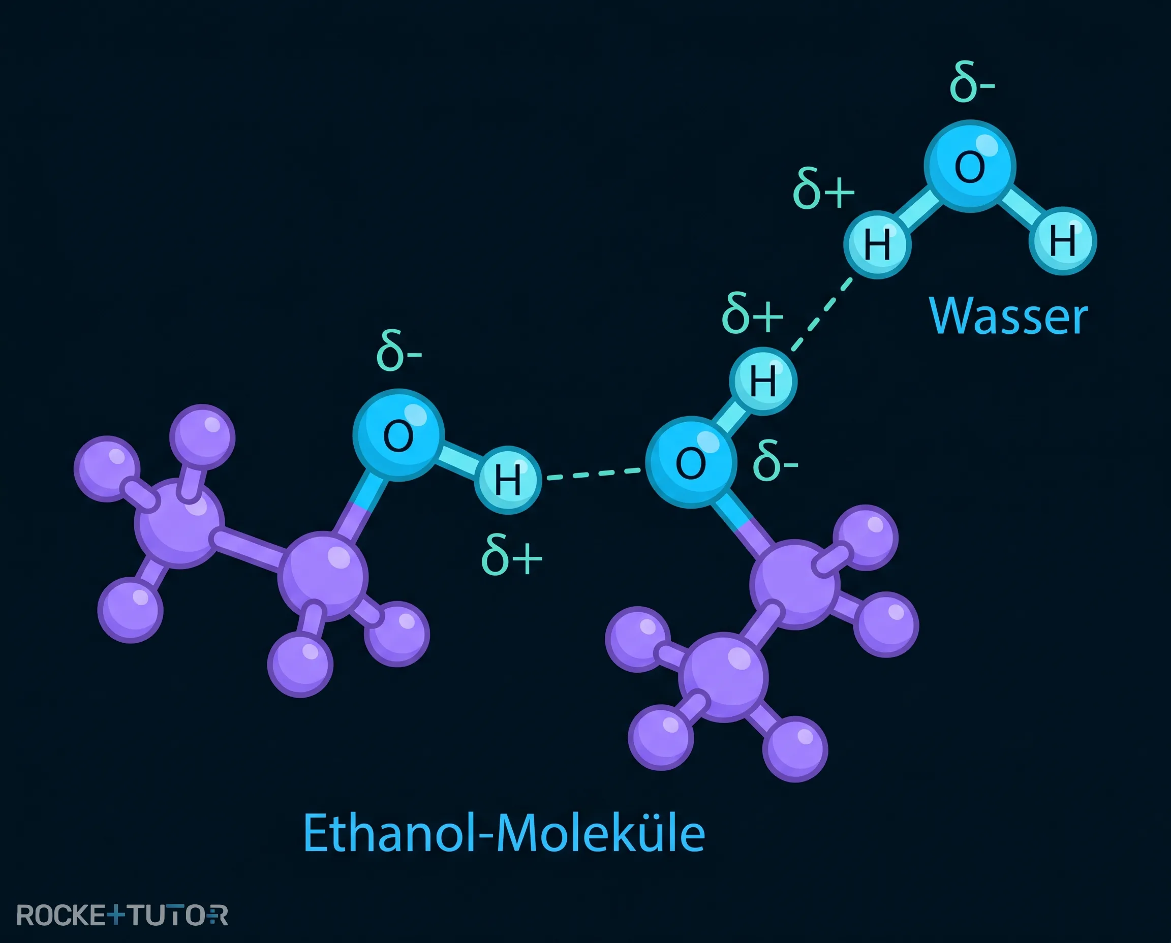 Wasserstoffbrückenbindungen zwischen Ethanol und Wasser