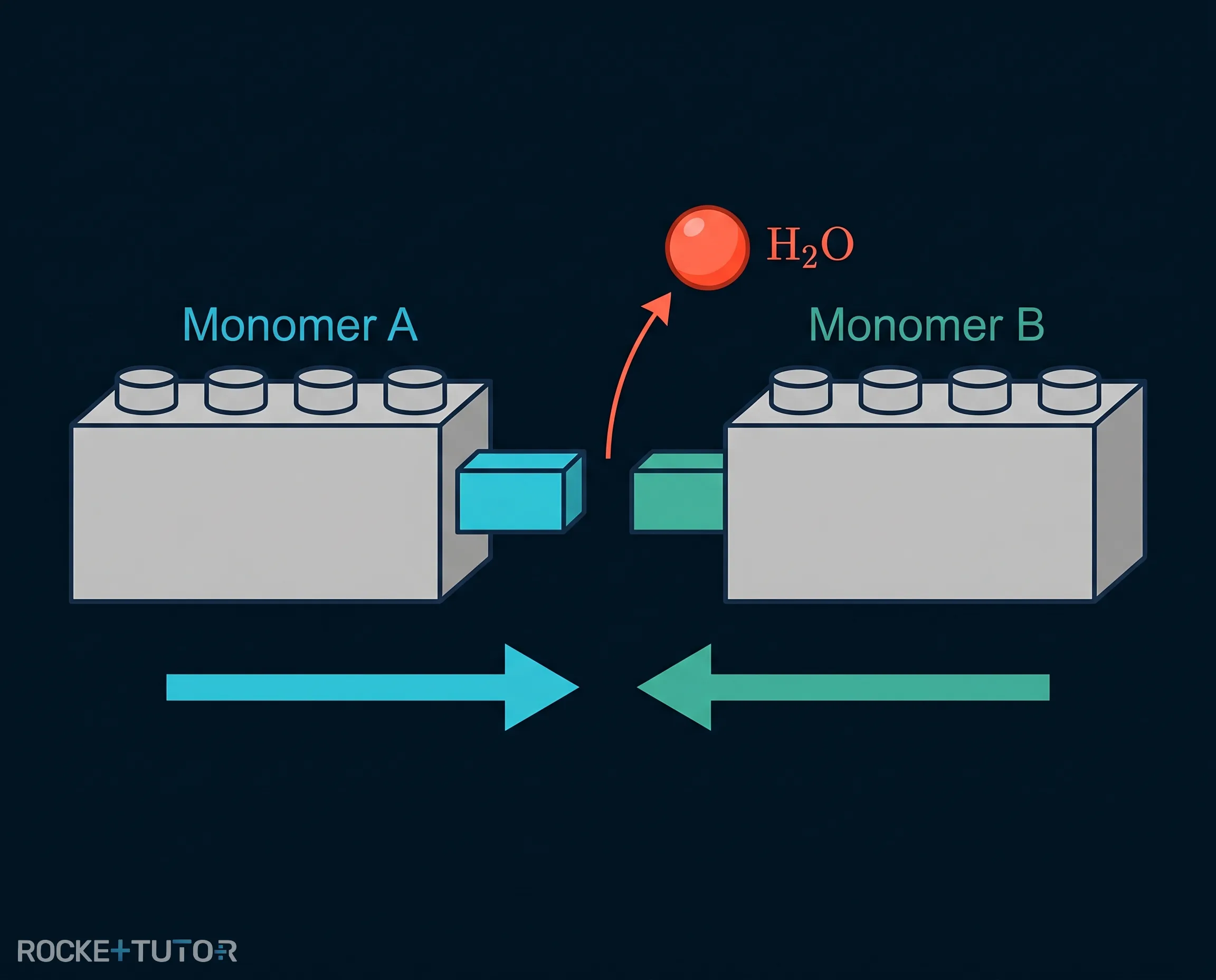 Monomere verbinden sich