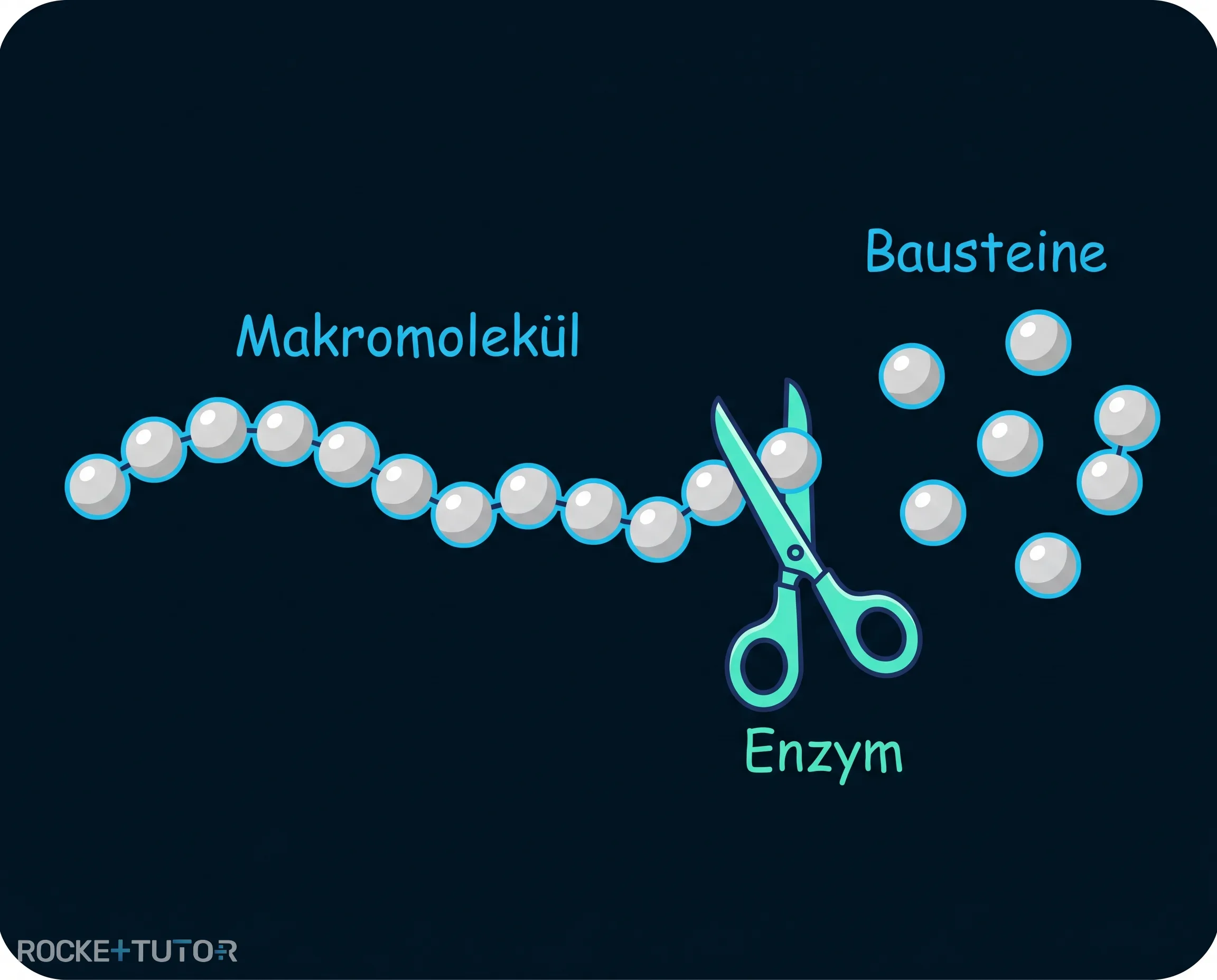 Wirkung von Enzymen auf Flecken