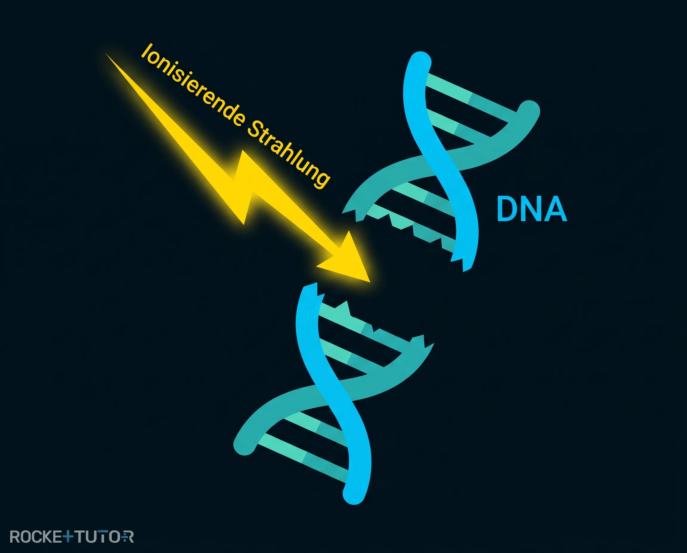 Zerstörung der DNA durch ionisierende Strahlung