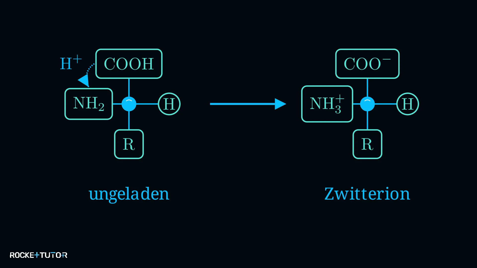 Zwitterionen Struktur von Aminosäuren