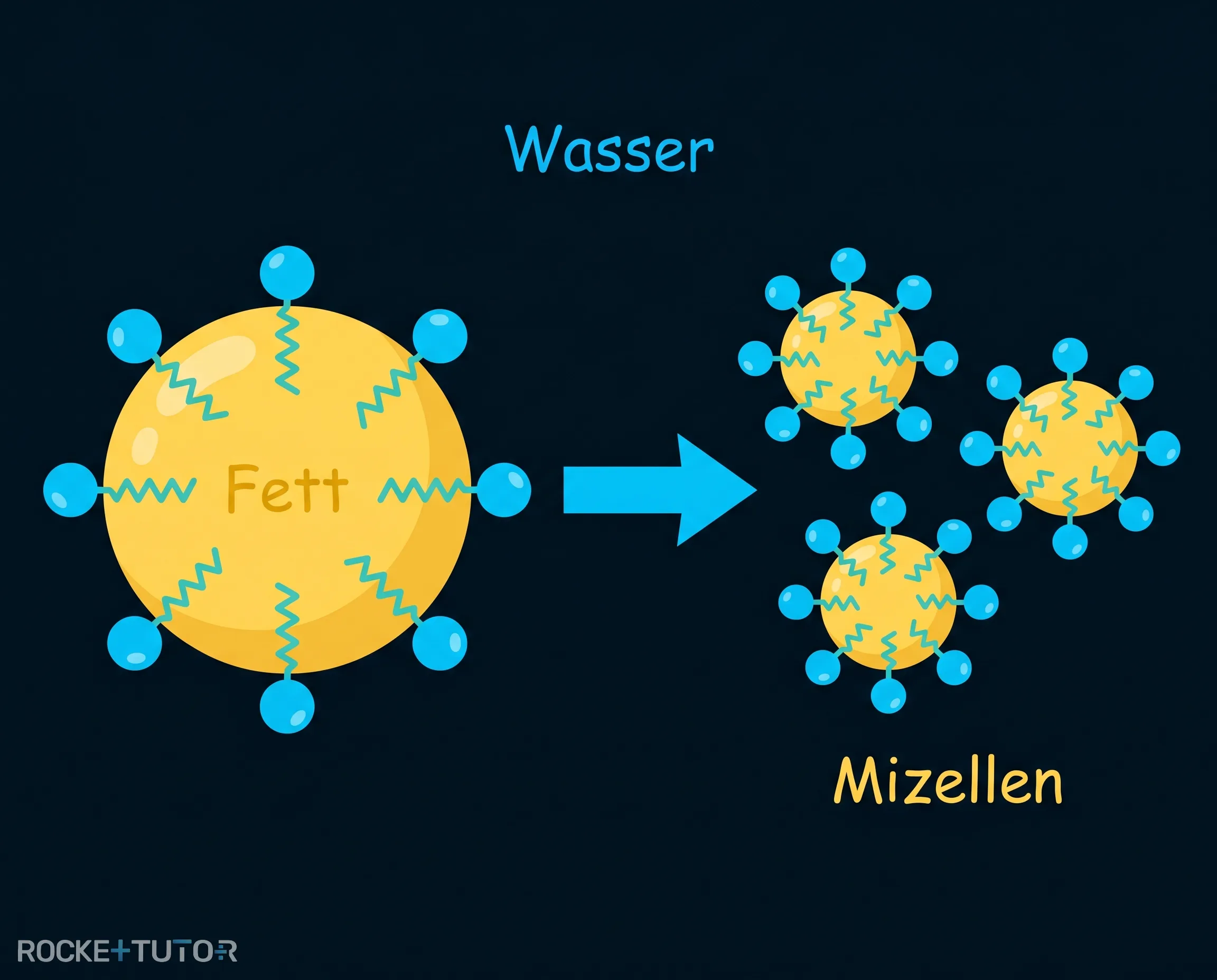 Mizellen und Emulsionsbildung