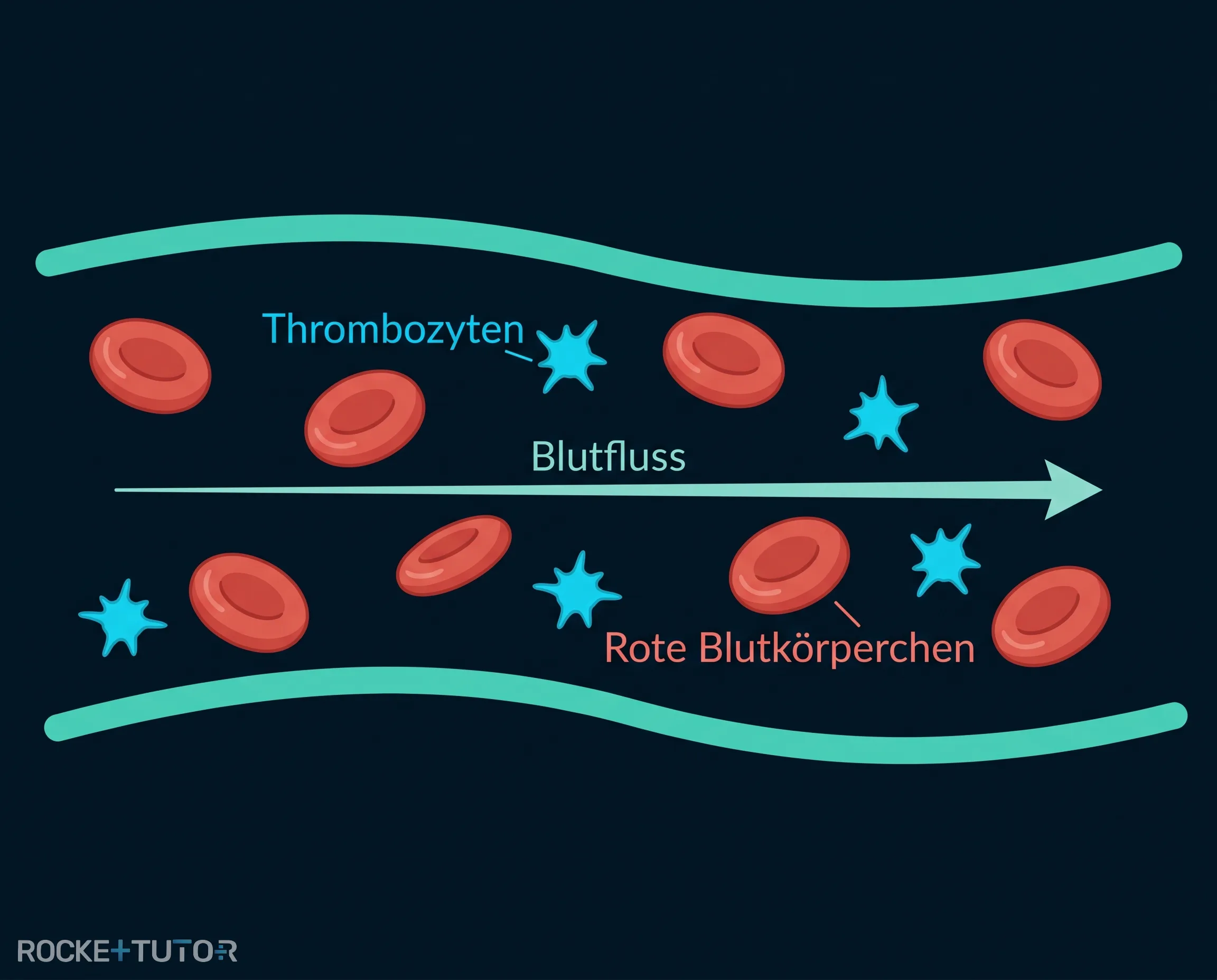 Blutgefäß mit Thrombozyten