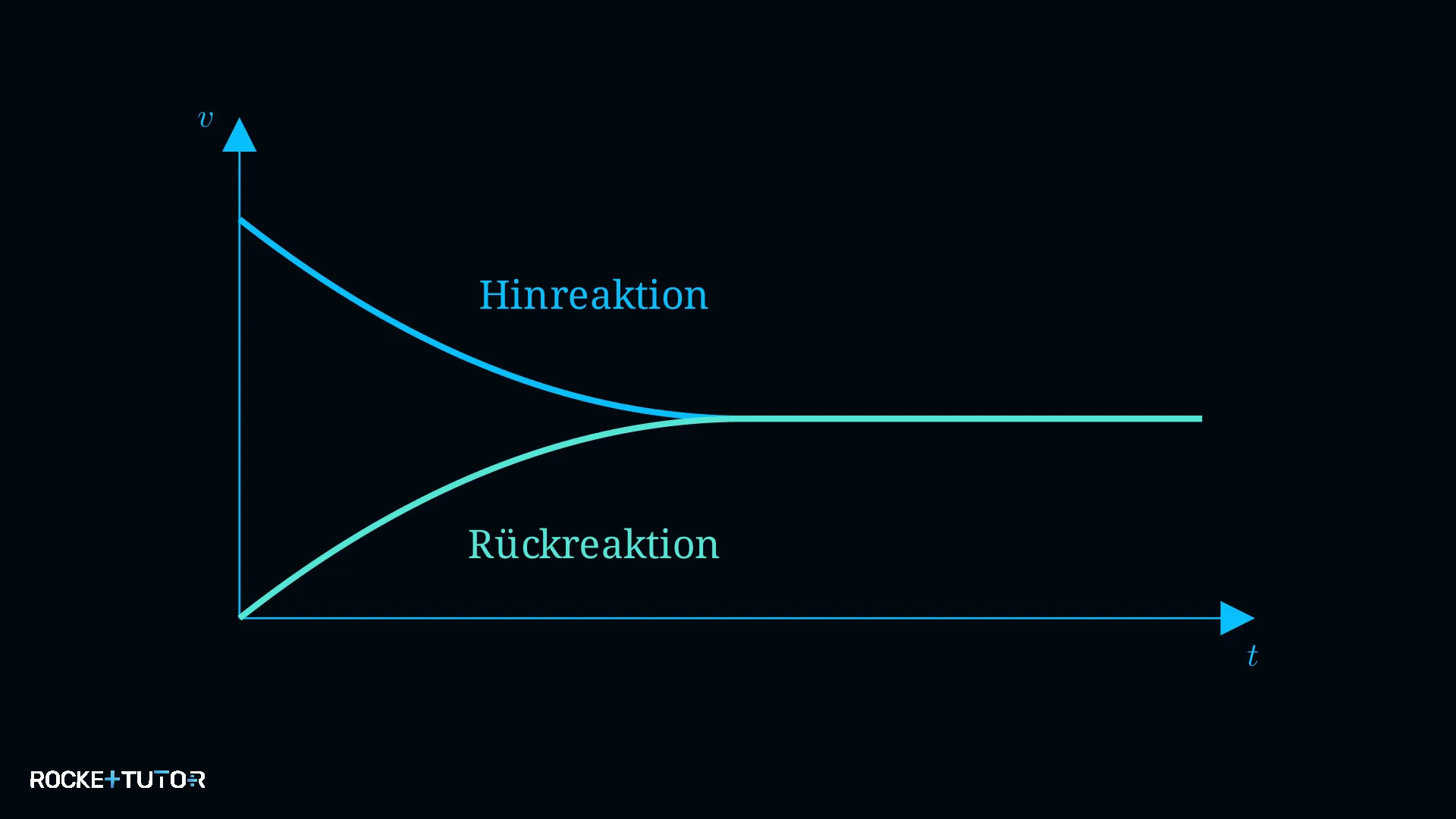 Graph der Reaktionsgeschwindigkeiten im Gleichgewicht