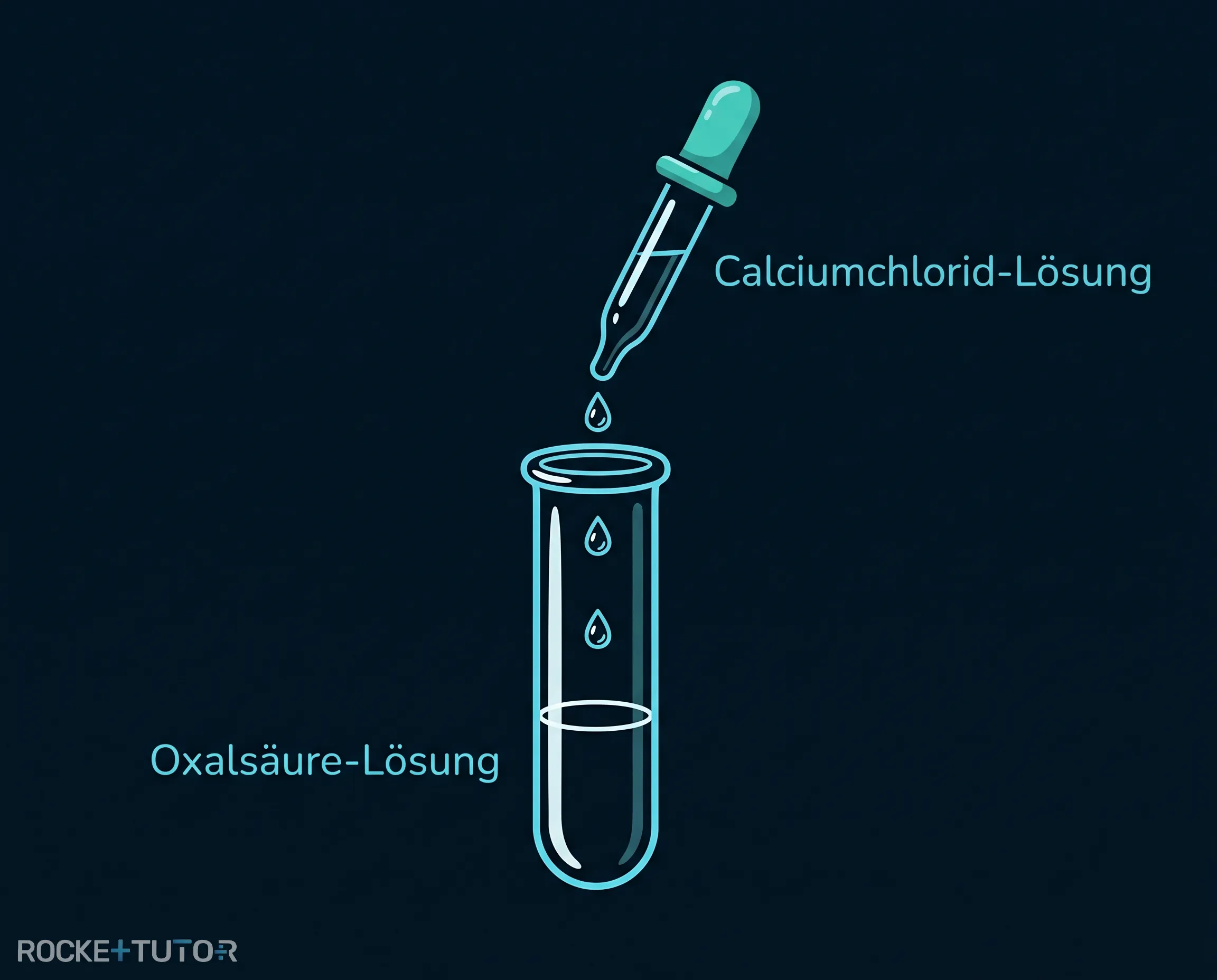 Reagenzglas mit Oxalsäure und Calciumchlorid
