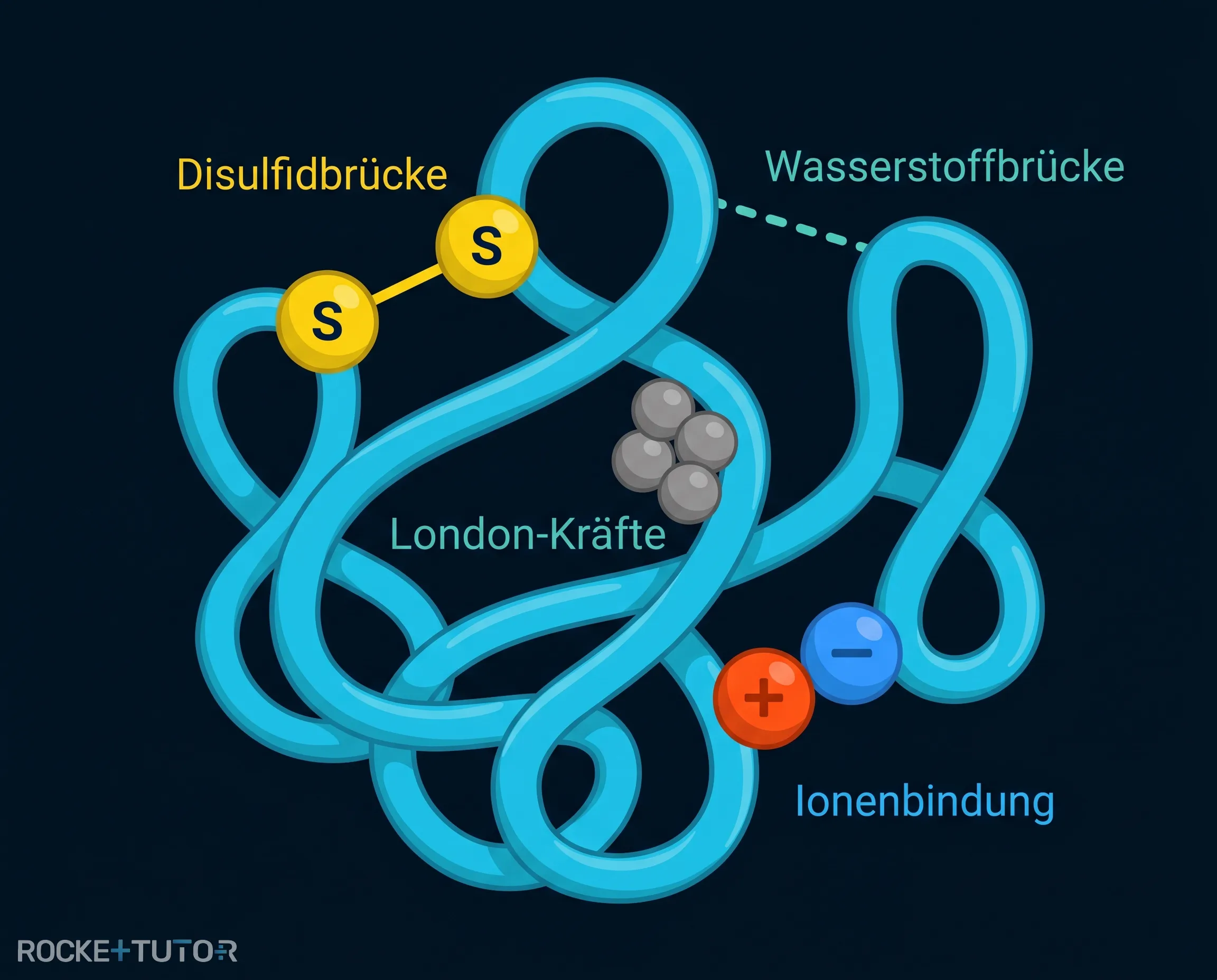 Wechselwirkungen der Tertiärstruktur