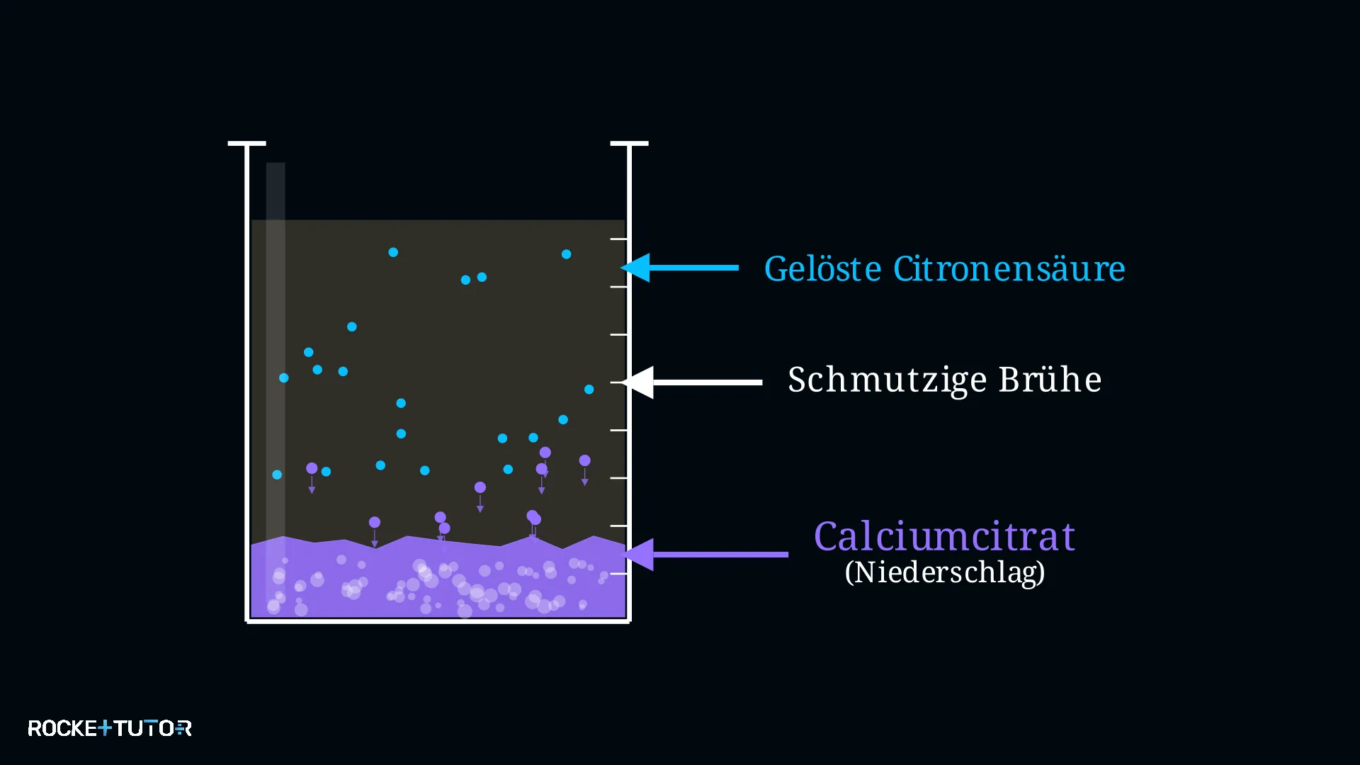 Fällung von Calciumcitrat im Becherglas