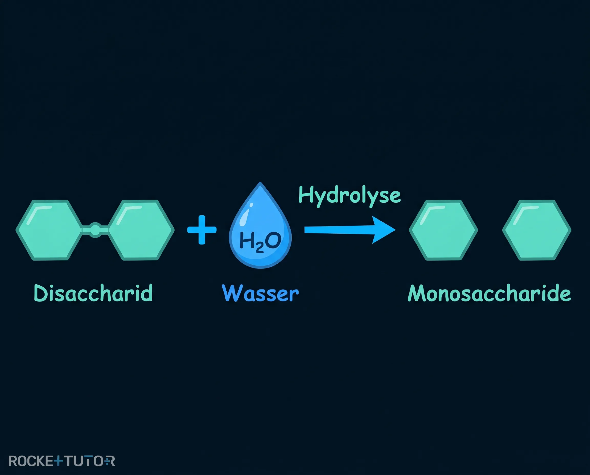 Hydrolyse von Kohlenhydraten