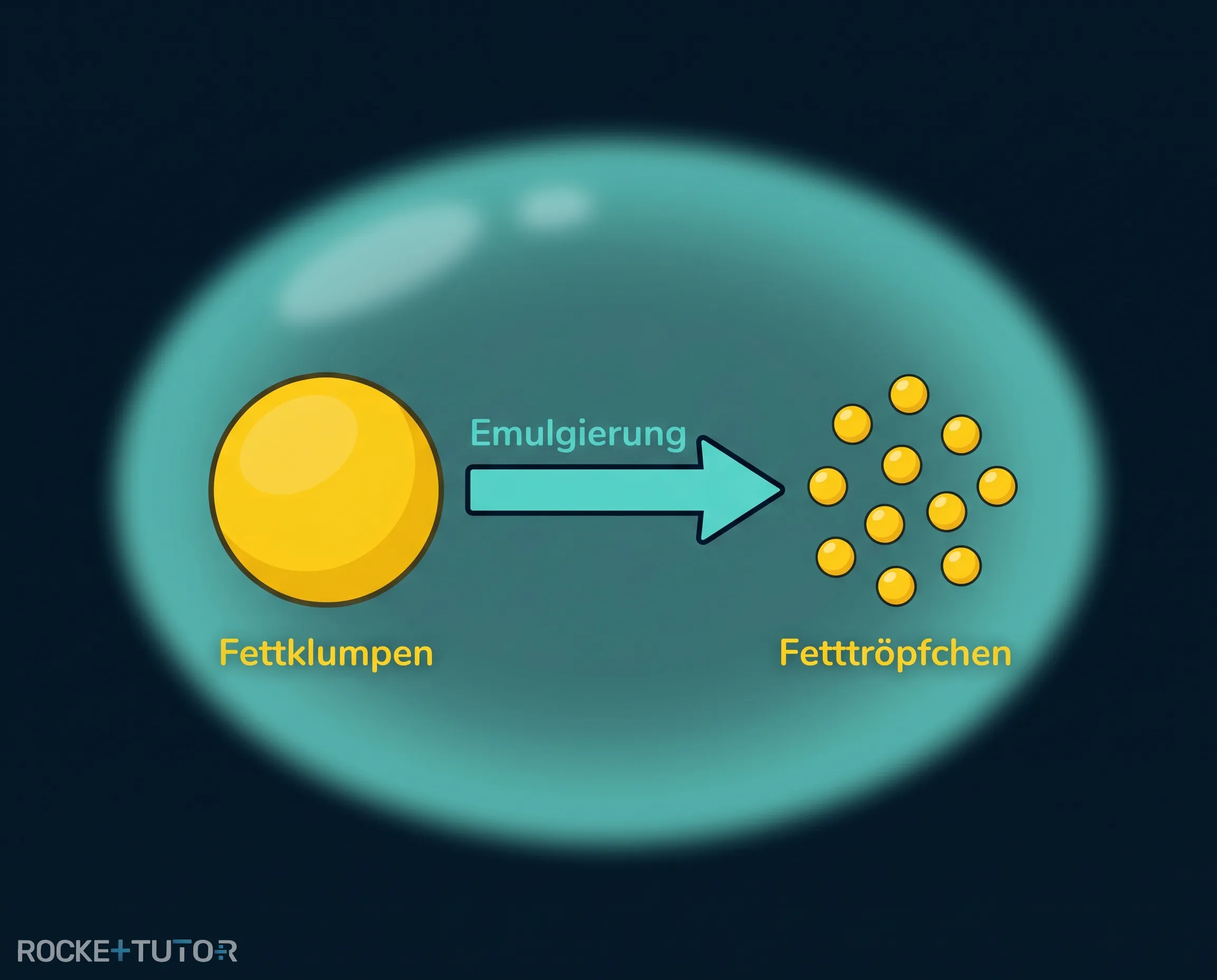 Emulgierung von Fetttropfen
