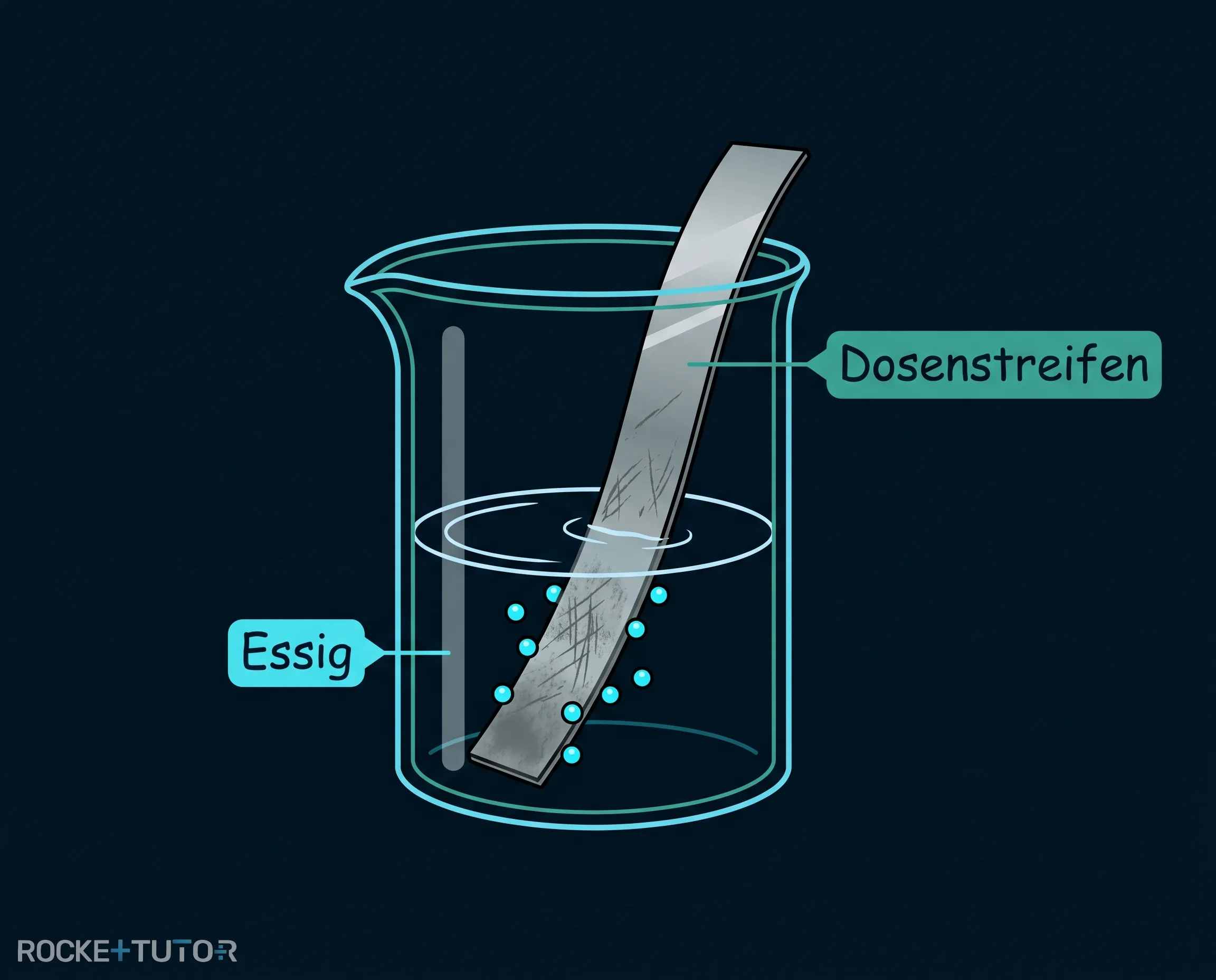 Dosenstreifen im Becherglas