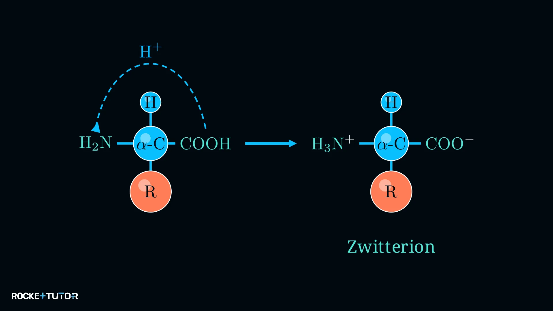 Zwitterion Struktur Aminosäure