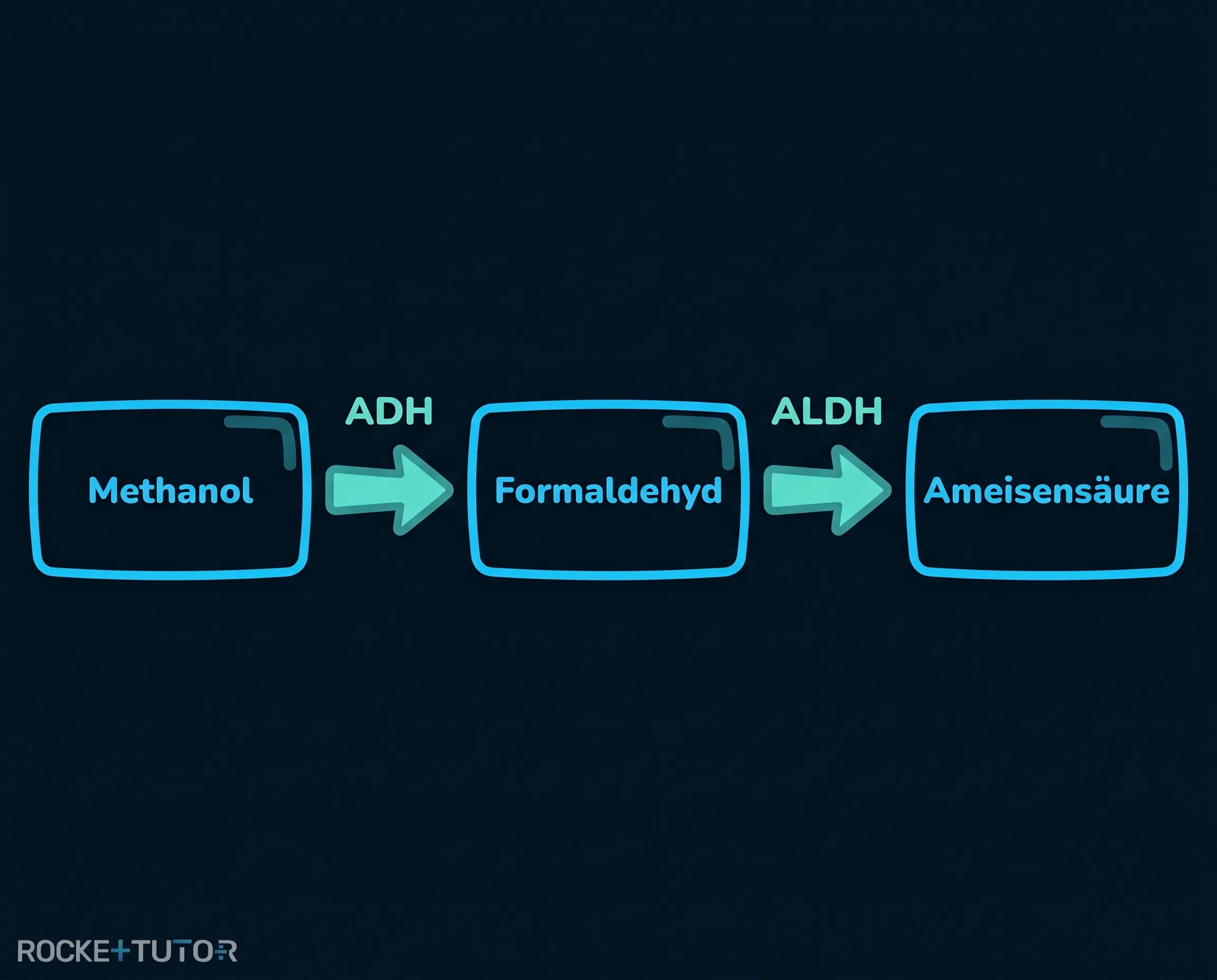 Abbau von Methanol zu Ameisensäure