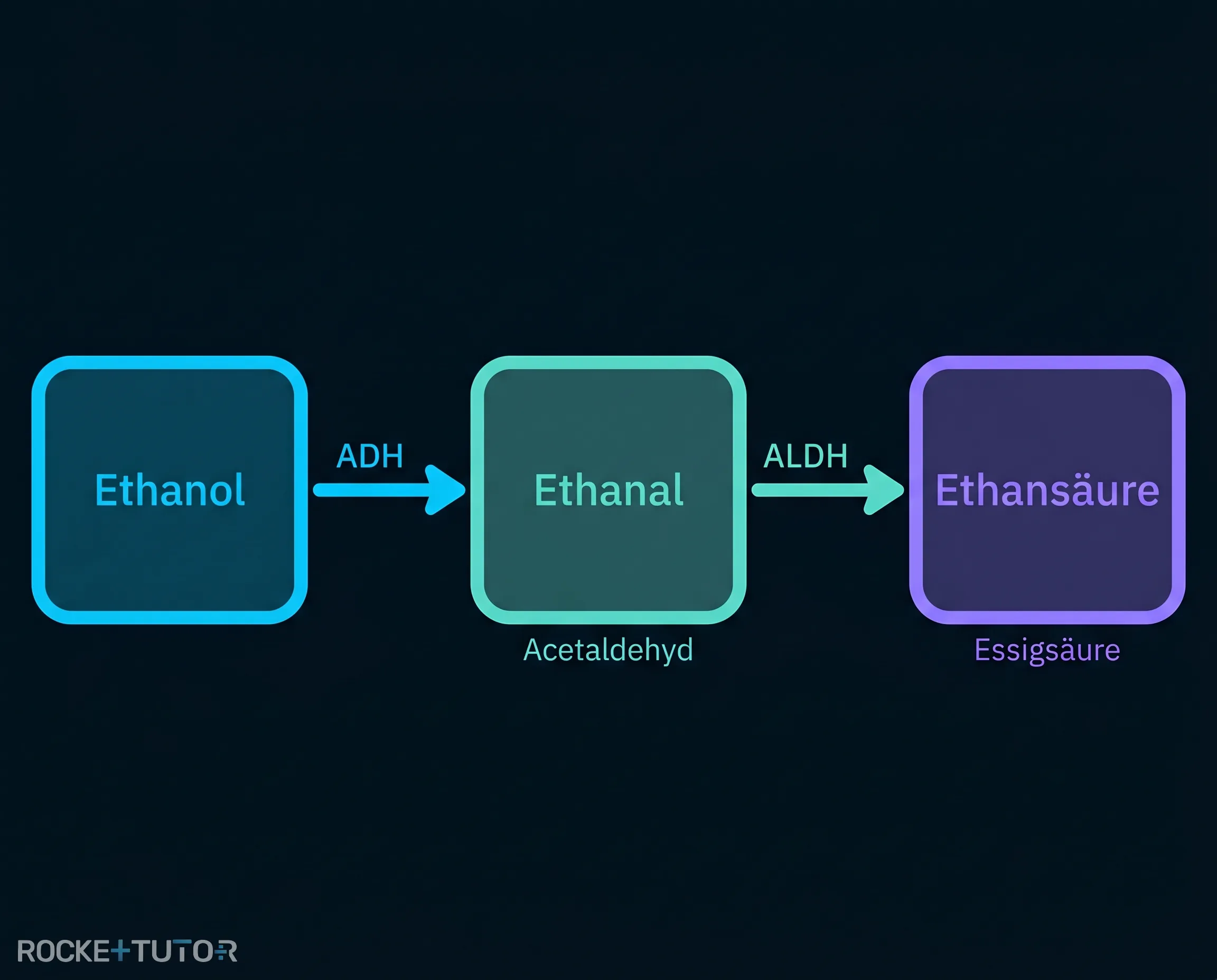 Chemischer Abbau von Ethanol
