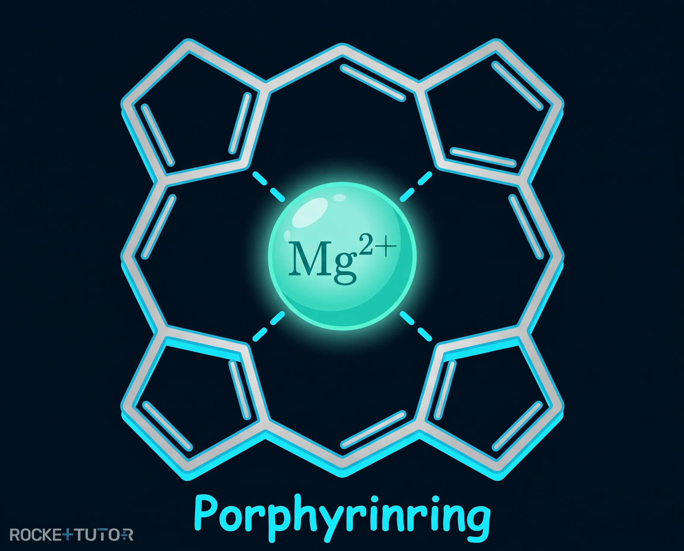 Chemische Struktur von Chlorophyll